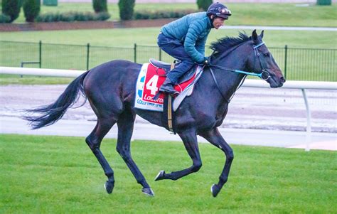 rosehill gold cup prediction|GOLD TRIP, A TALE OF TWO CITIES – RSN927.